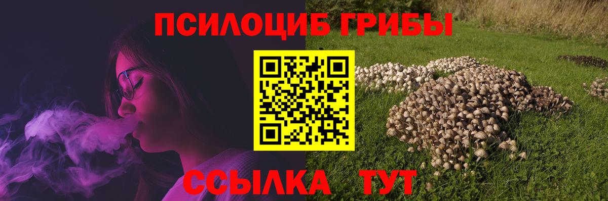 Галлюциногенные грибы GOLDEN TEACHER  Вход с VPN  Стрежевой  Галлюциногенные грибы Cubensis 